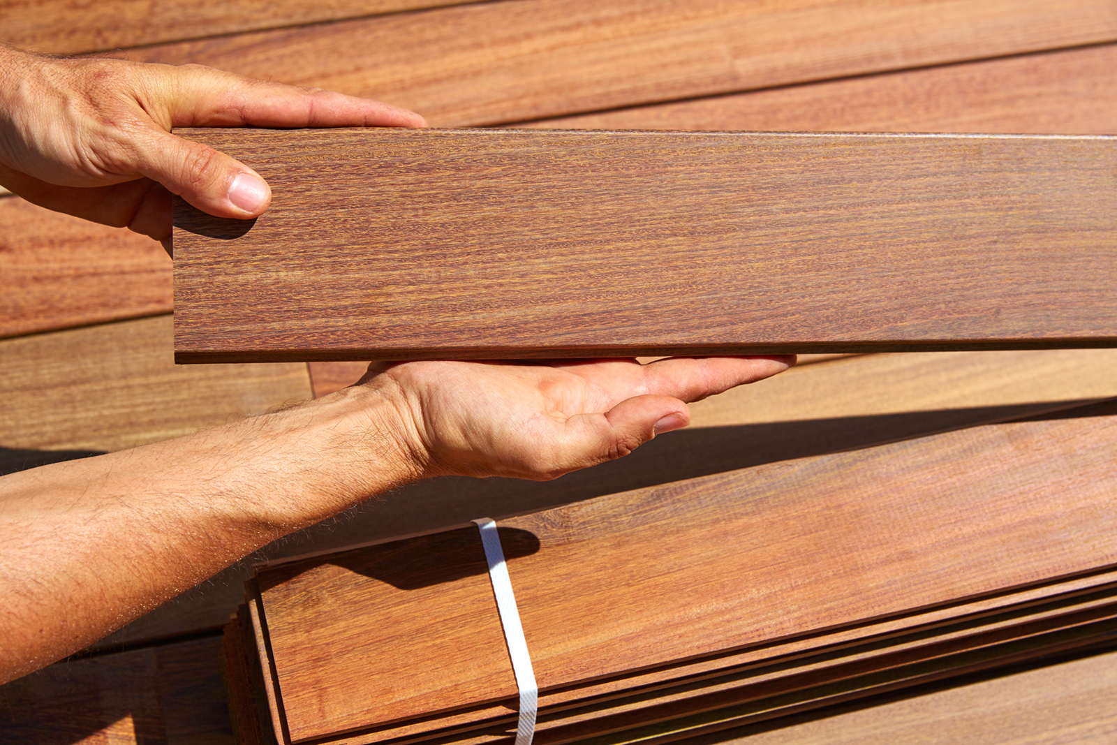 Best 7 Rot Resistant Woods for Outdoor Projects